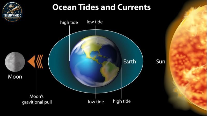 Mặt Trăng quay quanh Trái Đất dẫn tới hiện tượng thuỷ triều