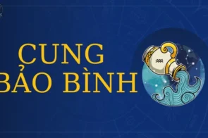 Cung Bảo Bình hợp cung nào nhất trong 12 cung hoàng đạo?