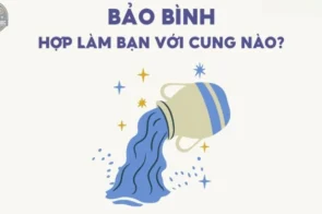 Cung Bảo Bình hợp với cung nào để tìm bạn đời lý tưởng