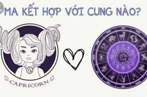 Cung Ma Kết hợp với cung nào trong tình yêu và công việc?