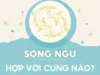 Khám phá cung Song Ngư hợp với cung nào trong cuộc sống