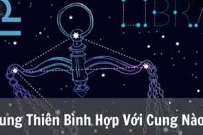 Tìm hiểu cung Thiên Bình hợp với cung nào trong tình yêu!