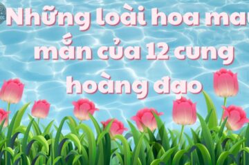 Bật mí những loài hoa may mắn của 12 cung hoàng đạo